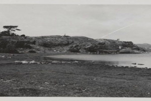 Bilde av Bergan Øde